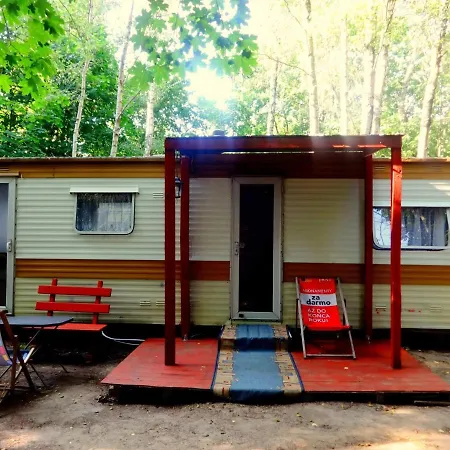 Camping Domki Holenderskie *